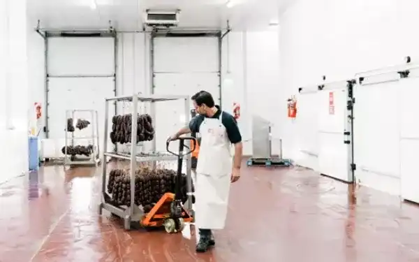 Available Resin Floor Coating Options for Food and Beverage Processing Facilities